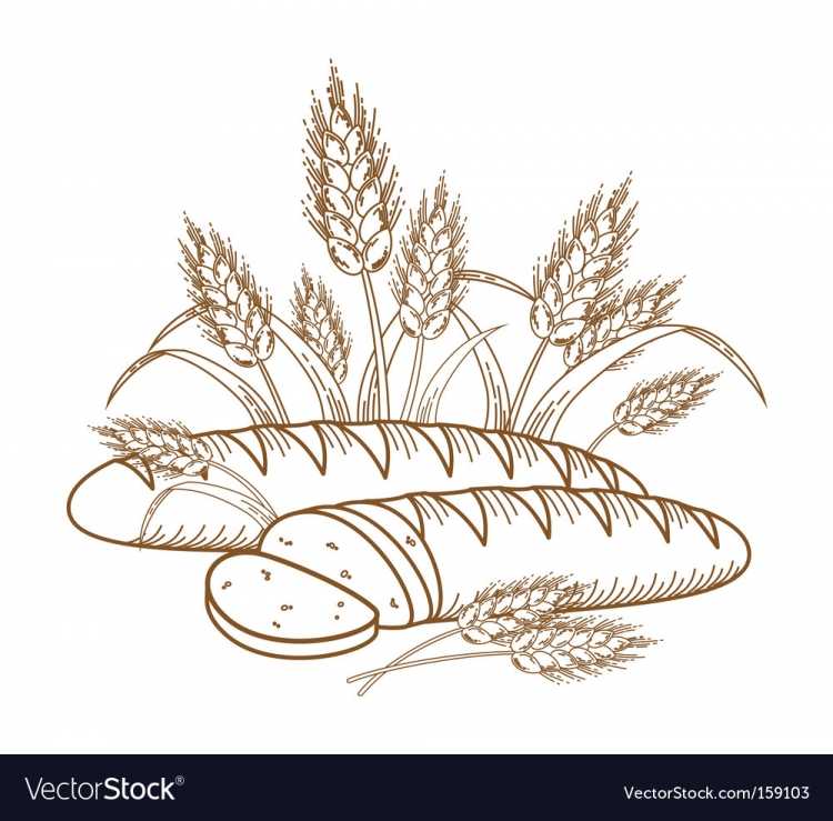 Раскраска хлеб и пшеница