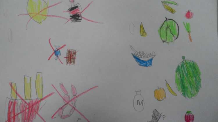 Иллюстрация овощей и фруктов