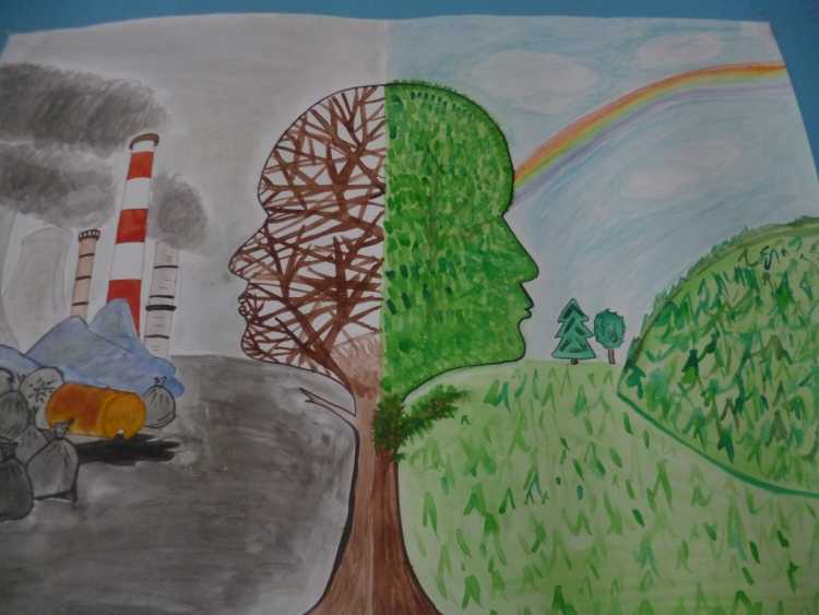 Наука раскраска