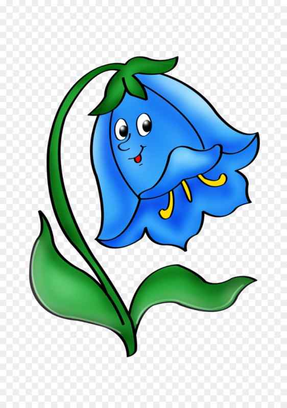 Раскраска колокольчик цветок