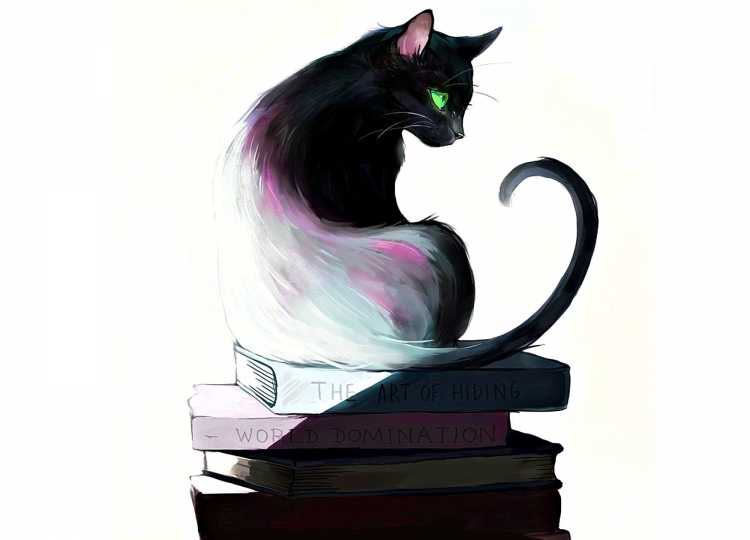 Чёрный кот арт