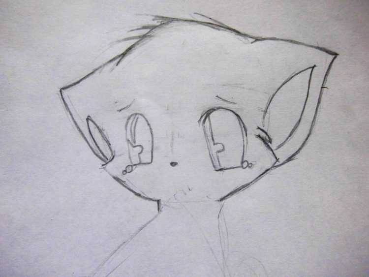 Рисунки карандашом для срисовки котики