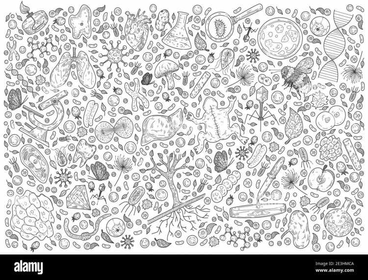 Экология иллюстрация