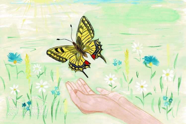 Номинация красная книга рисунок