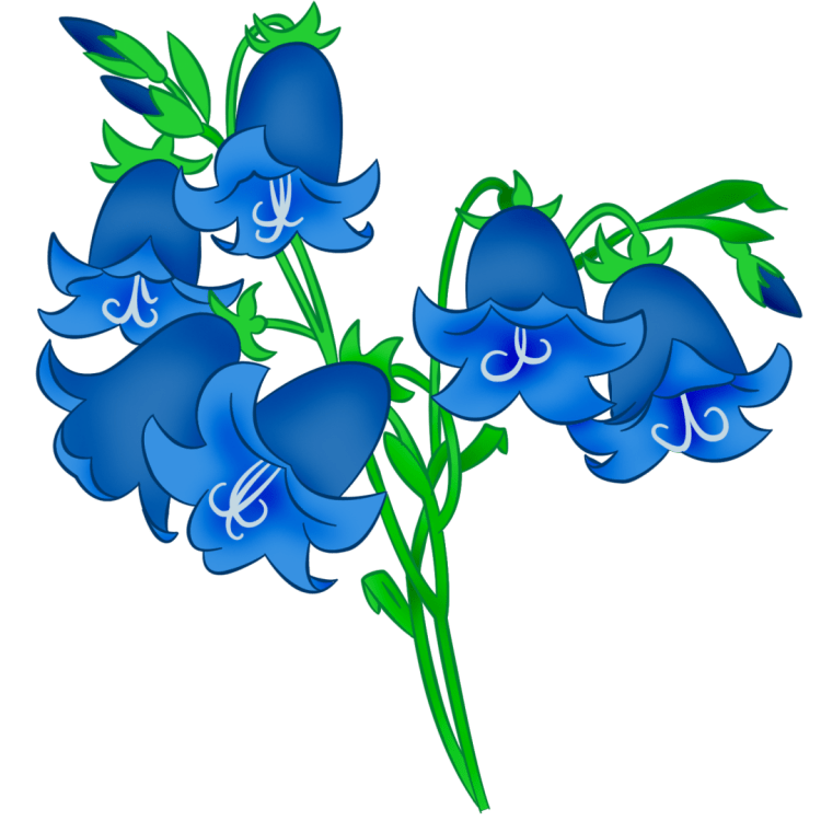 Колокольчик раскраска