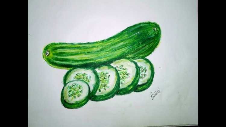 Огурец карандашом
