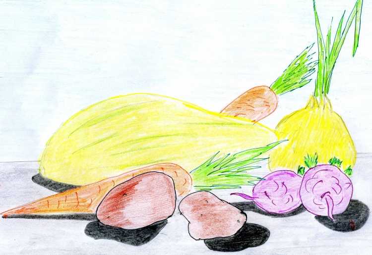 Здоровое питание рисунок