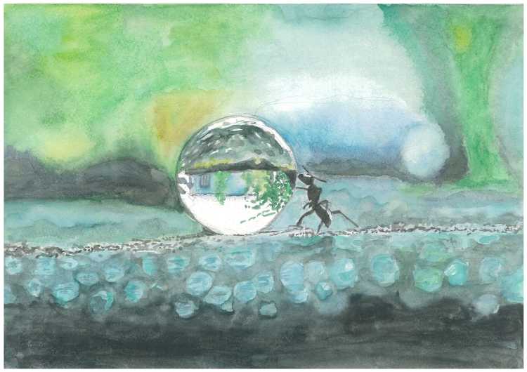 Тема рисования мир воды