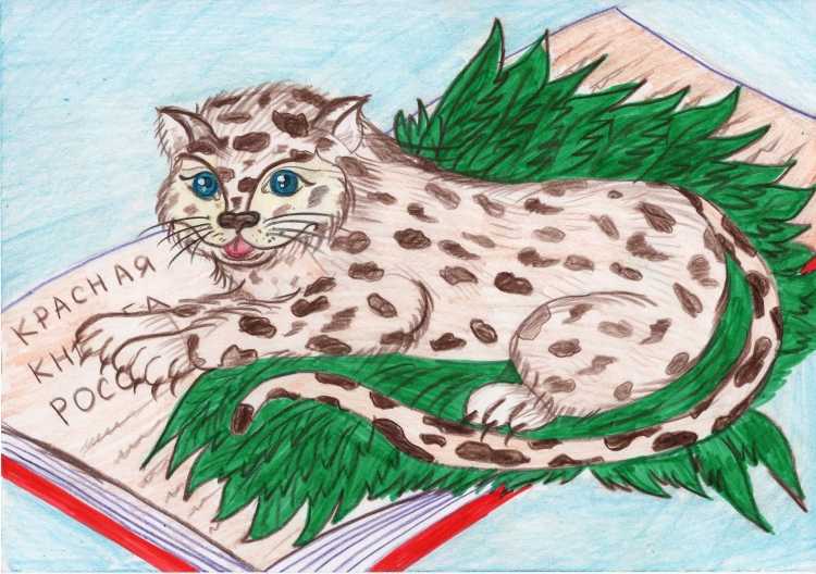 Рисунок на тему красная книга