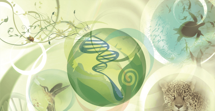 Наука глазами детей