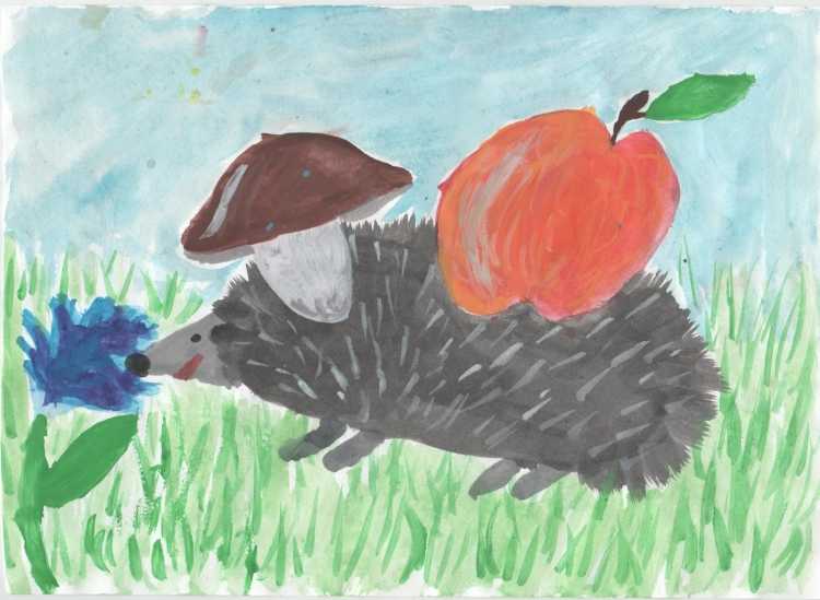 Конкурс рисунков защита животных