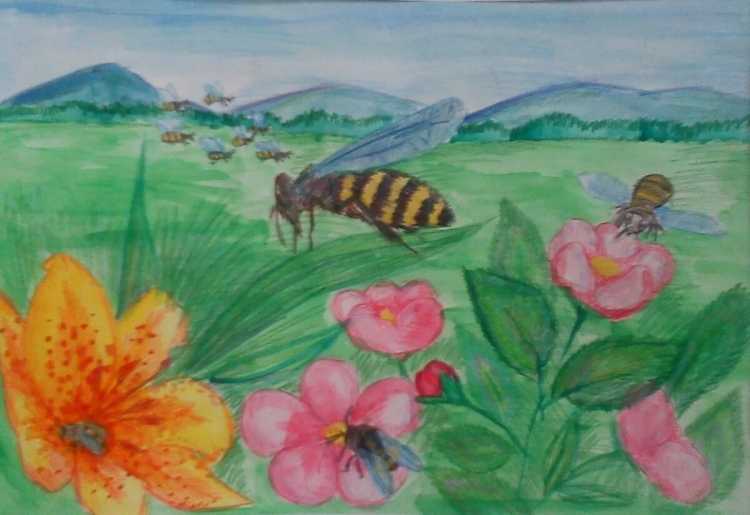 Рисунок на тему природа