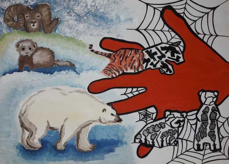 Берегите животных