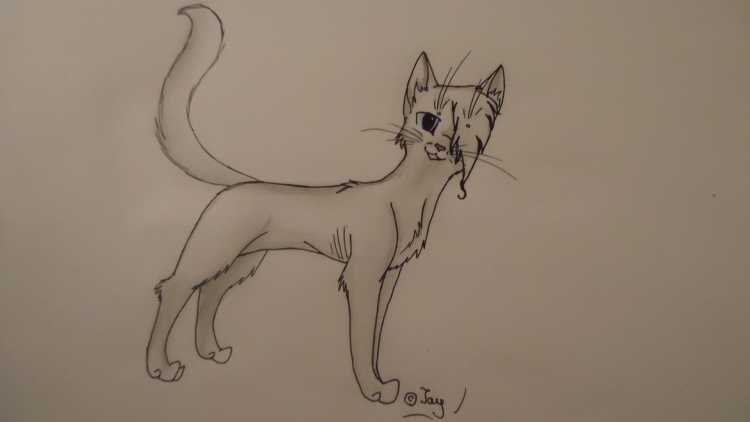 Рисунки карандашом для срисовки