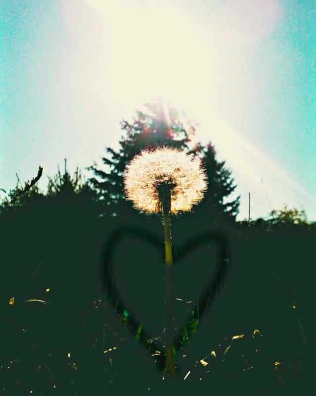 Прощай лето привет осень