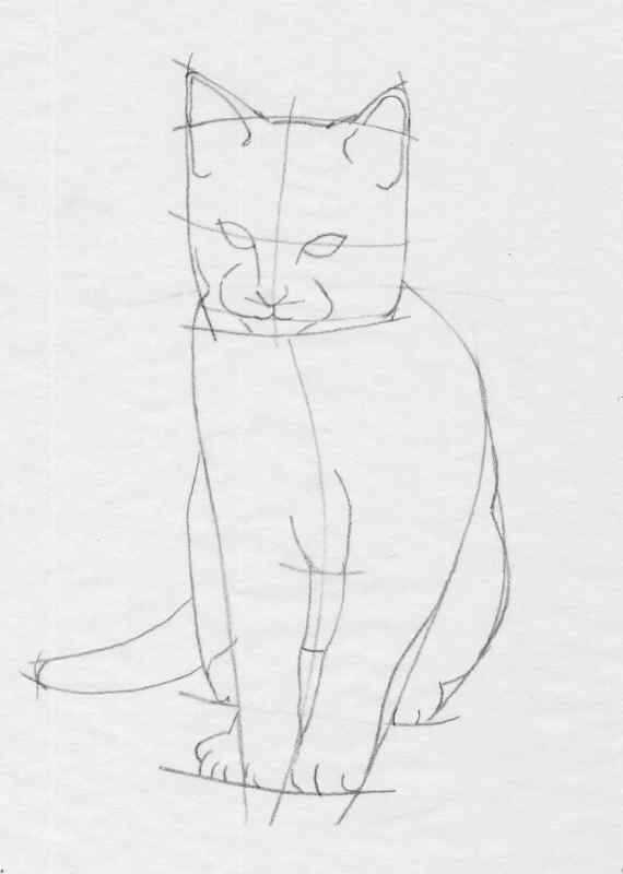 Кот сидит рисунок карандашом