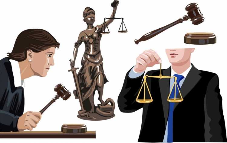 Профессия юрист