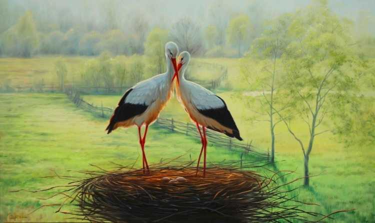 Аист живопись