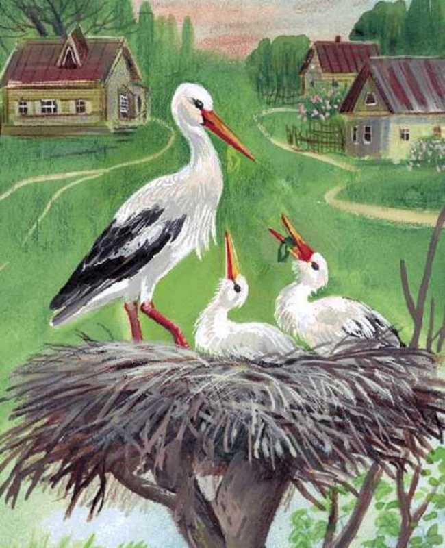 Аист живопись