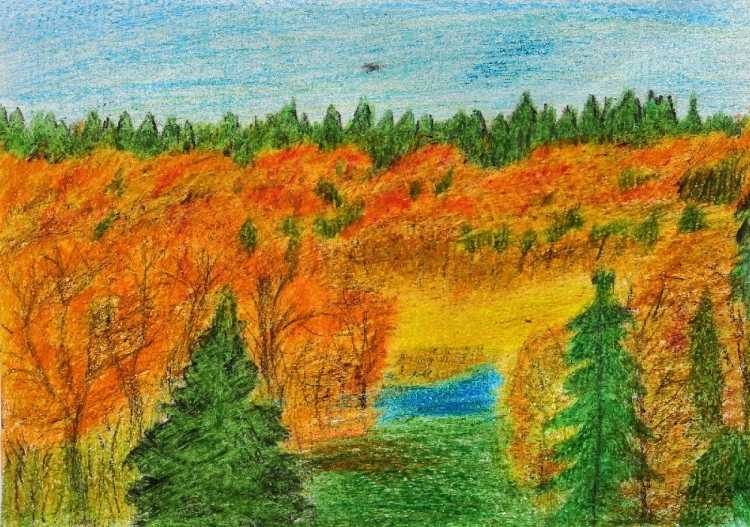 Лесные богатства рисунок