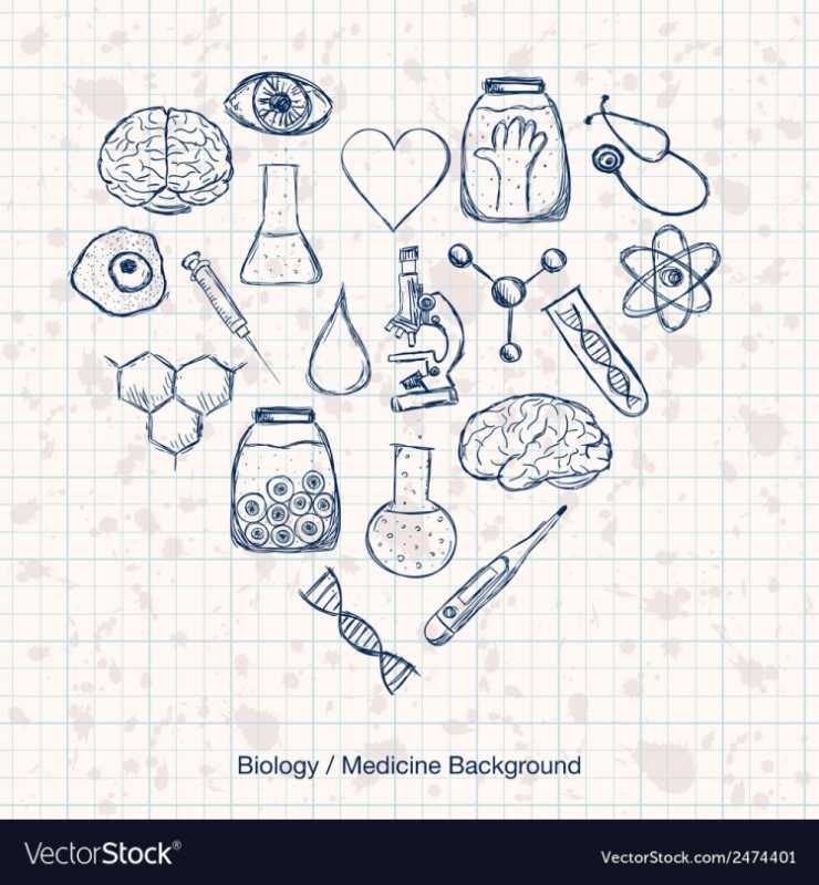 Рисунки на тему биология