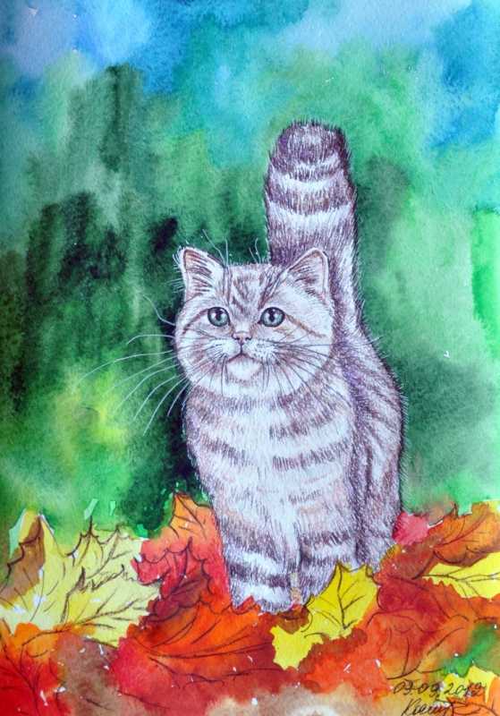 Рисункиина свободную тему