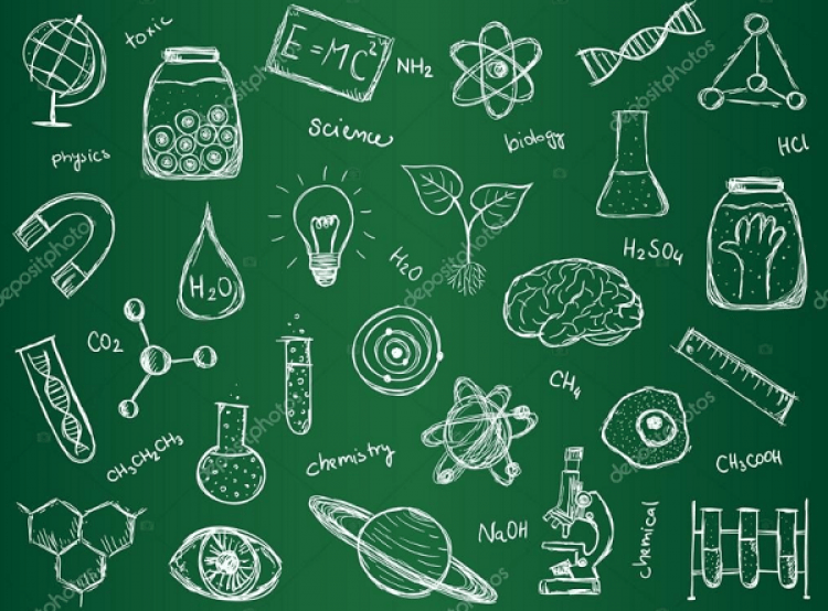 Биология рисунок дудл