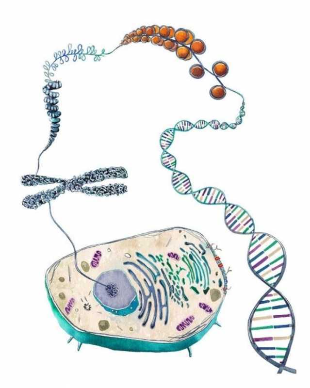 Микробиология фон