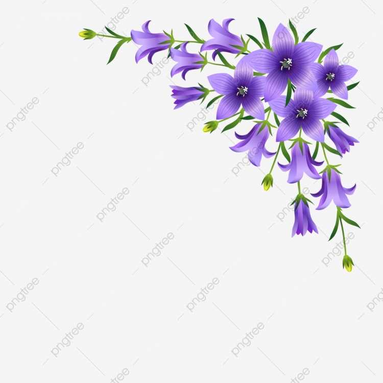 Колокольчик цветок раскраска для детей