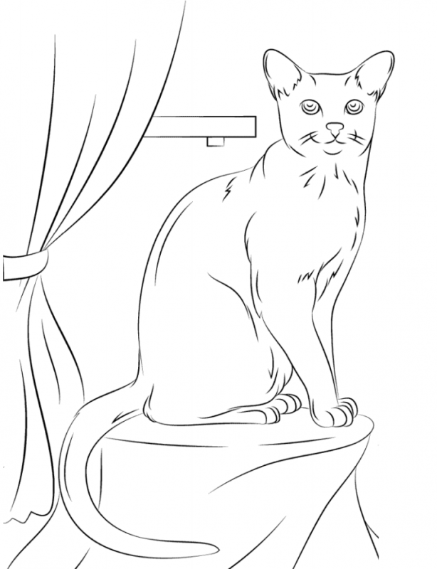 Кошка сидит раскраска