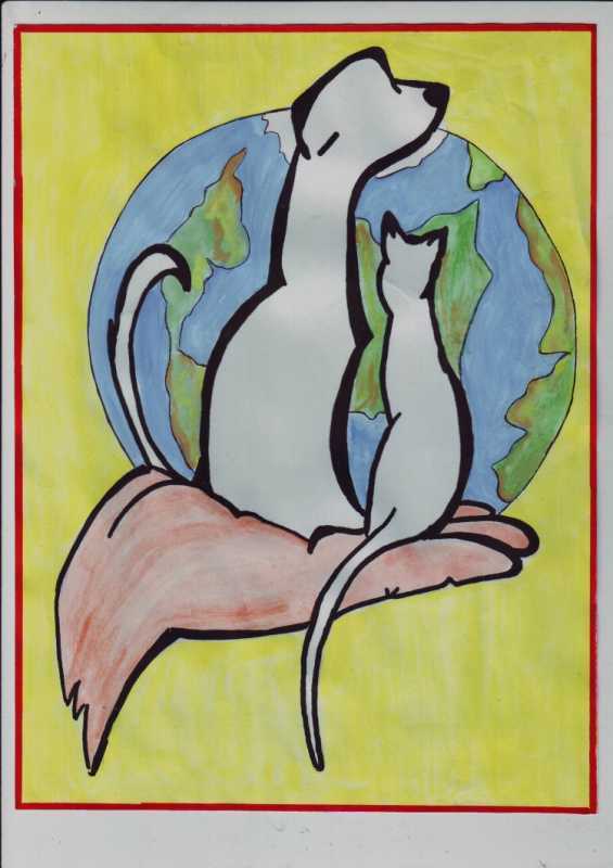 Берегите животных