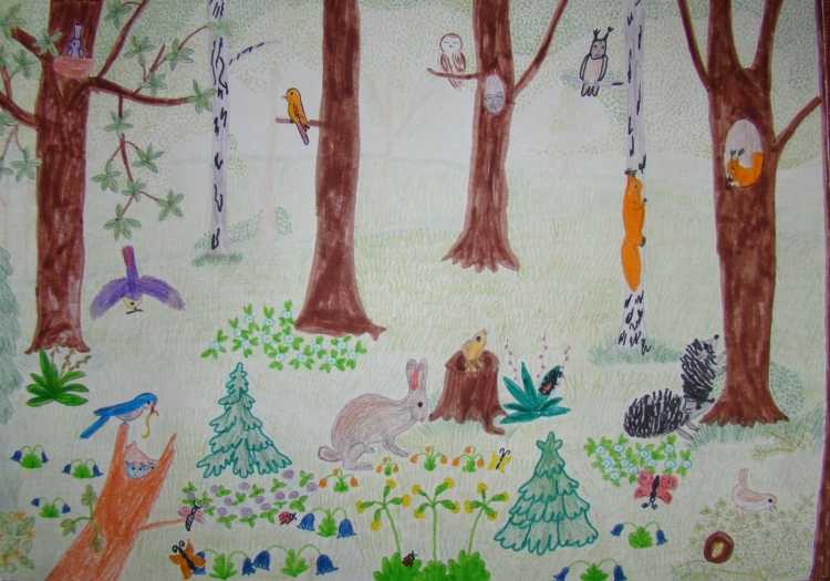 Рисунок на тему лес