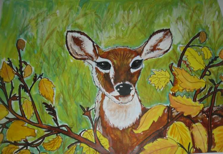 Лес наш главный интерес конкурс рисунков