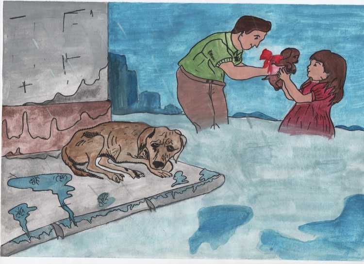 Бездомные животные глазами детей