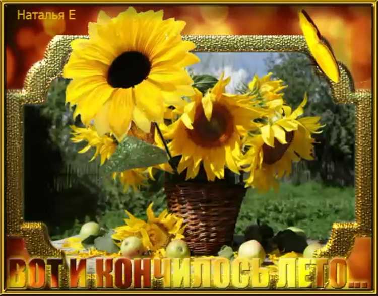 Здравствуй лето для детей