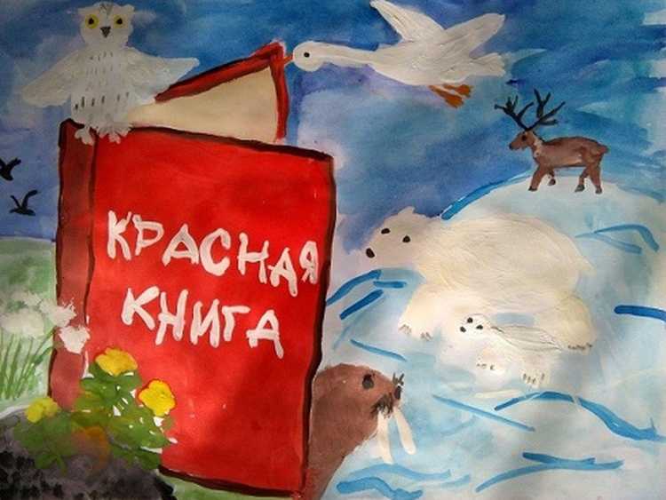 Красная книга рисунок
