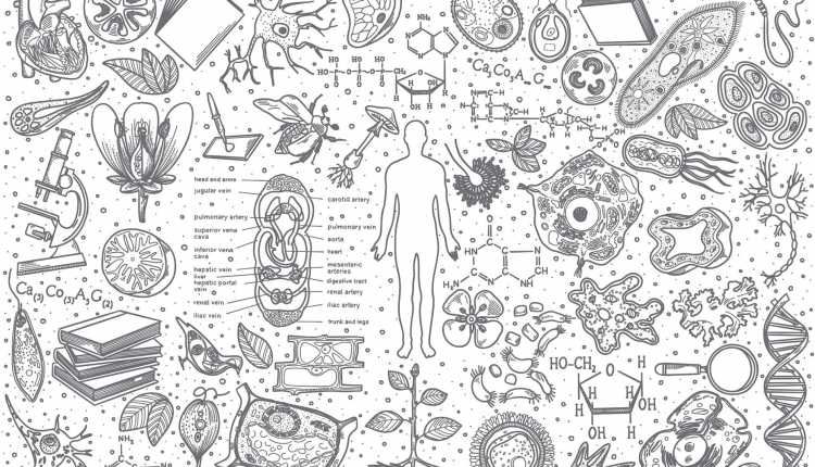 Сбережем нашу планету