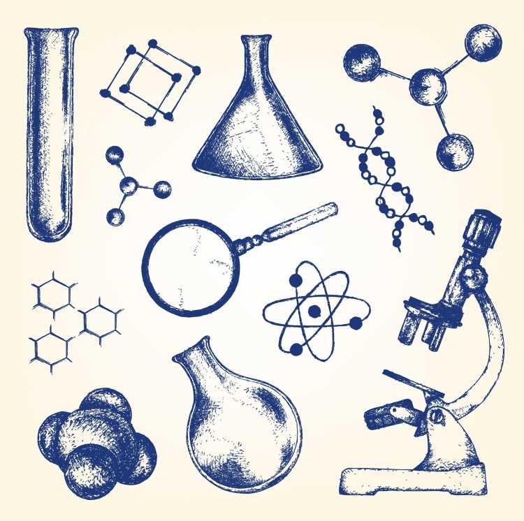 Рисунки по биологии