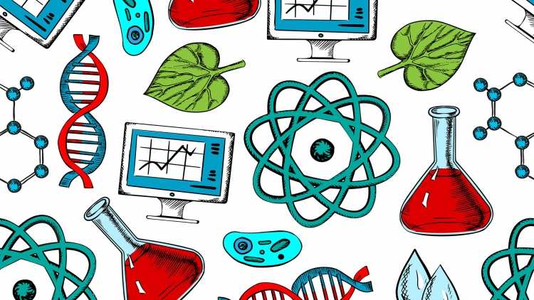 Биология паттерн