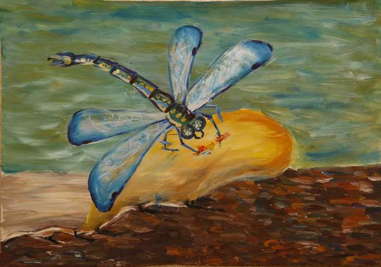 Янтарь нарисовать ребенку