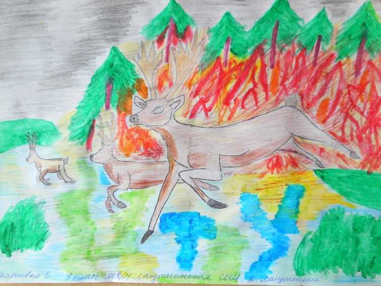 Рисунок на тему лес боится огня