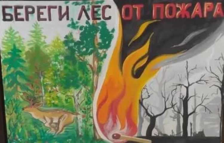 Береги лес от пожара рисунки