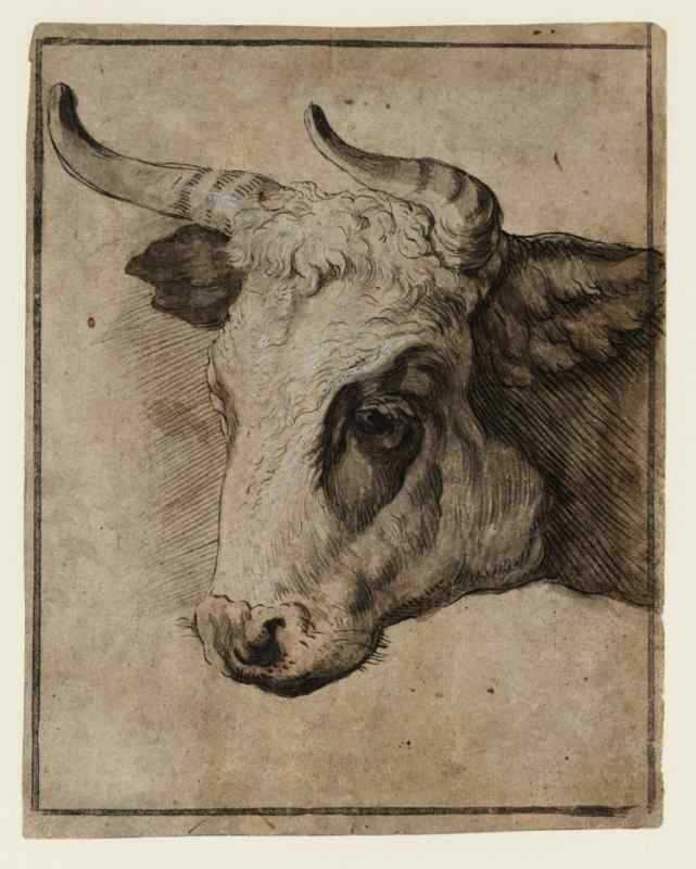 Бык Графика