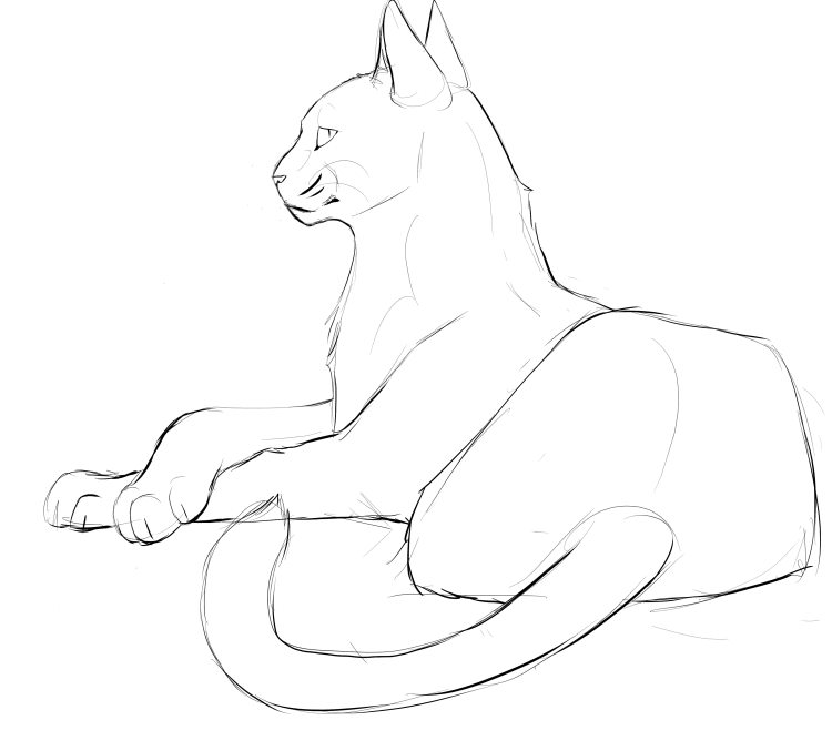 Кошка в сидячей позе