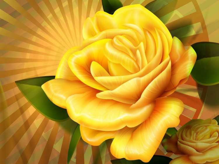 Жёлтый цветок