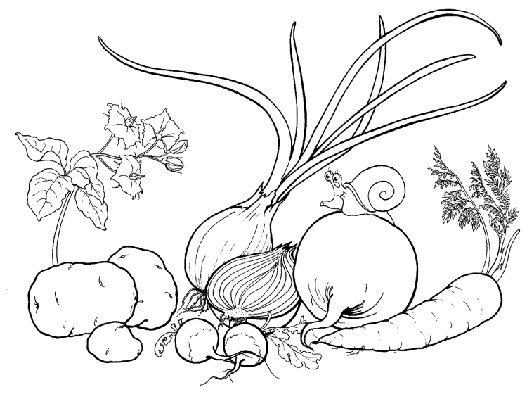 Раскраска корзина с фруктами и овощами