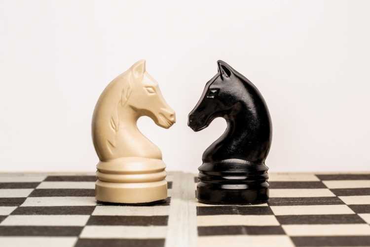 Конь на шахматной доске рисунок