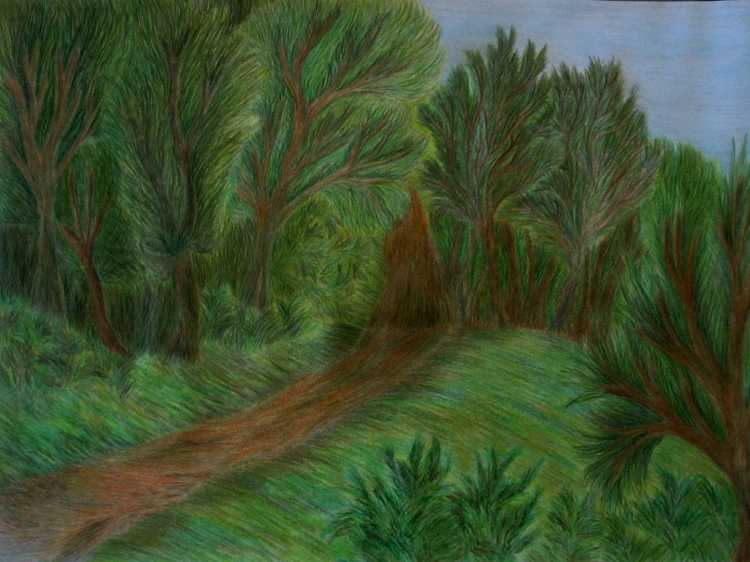 Лес карандашом