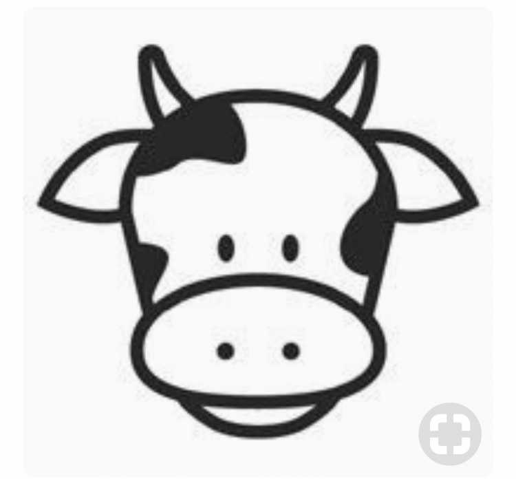 Мордочка коровы