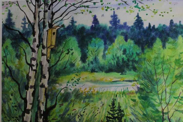 Красота леса рисунок